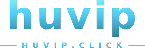 huvip logo